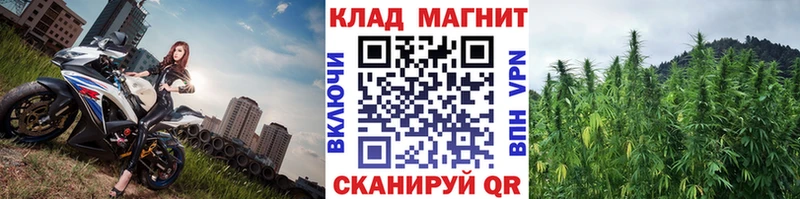 Виды наркоты Курчатов A PVP  Мефедрон  Кокаин  ГАШ  АМФЕТАМИН  Конопля 