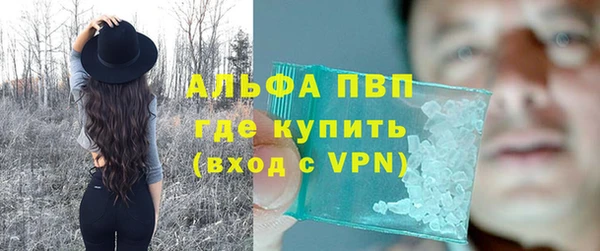 спайс Баксан