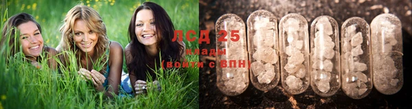 спайс Баксан