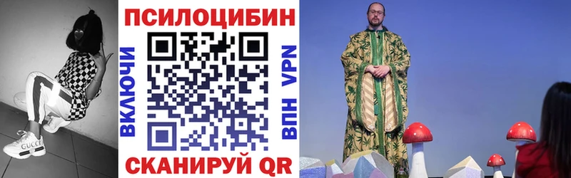 где купить наркоту  hydra маркетплейс  shop телеграм  Курчатов  Галлюциногенные грибы Magic Shrooms 